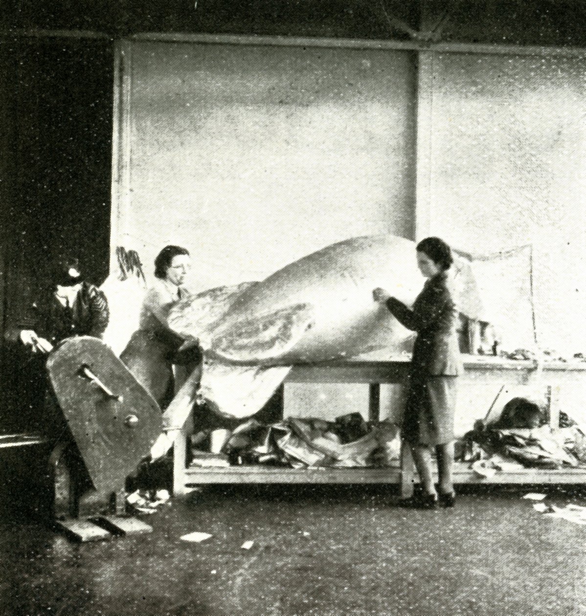 Reparasjon av sperreballonger, c1943. av Cecil Beaton