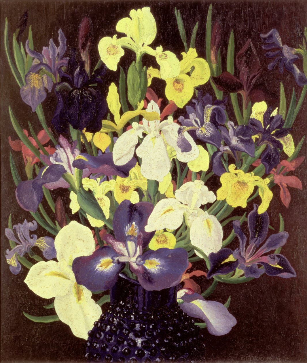 Gruppe av iriser, ca. 1940 av Cedric Morris