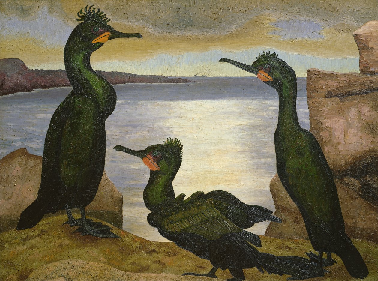 Shags av Cedric Morris