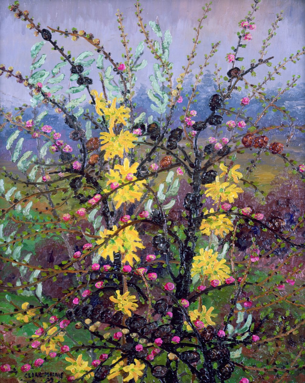 Busker (olje på lerret) av Cedric Morris