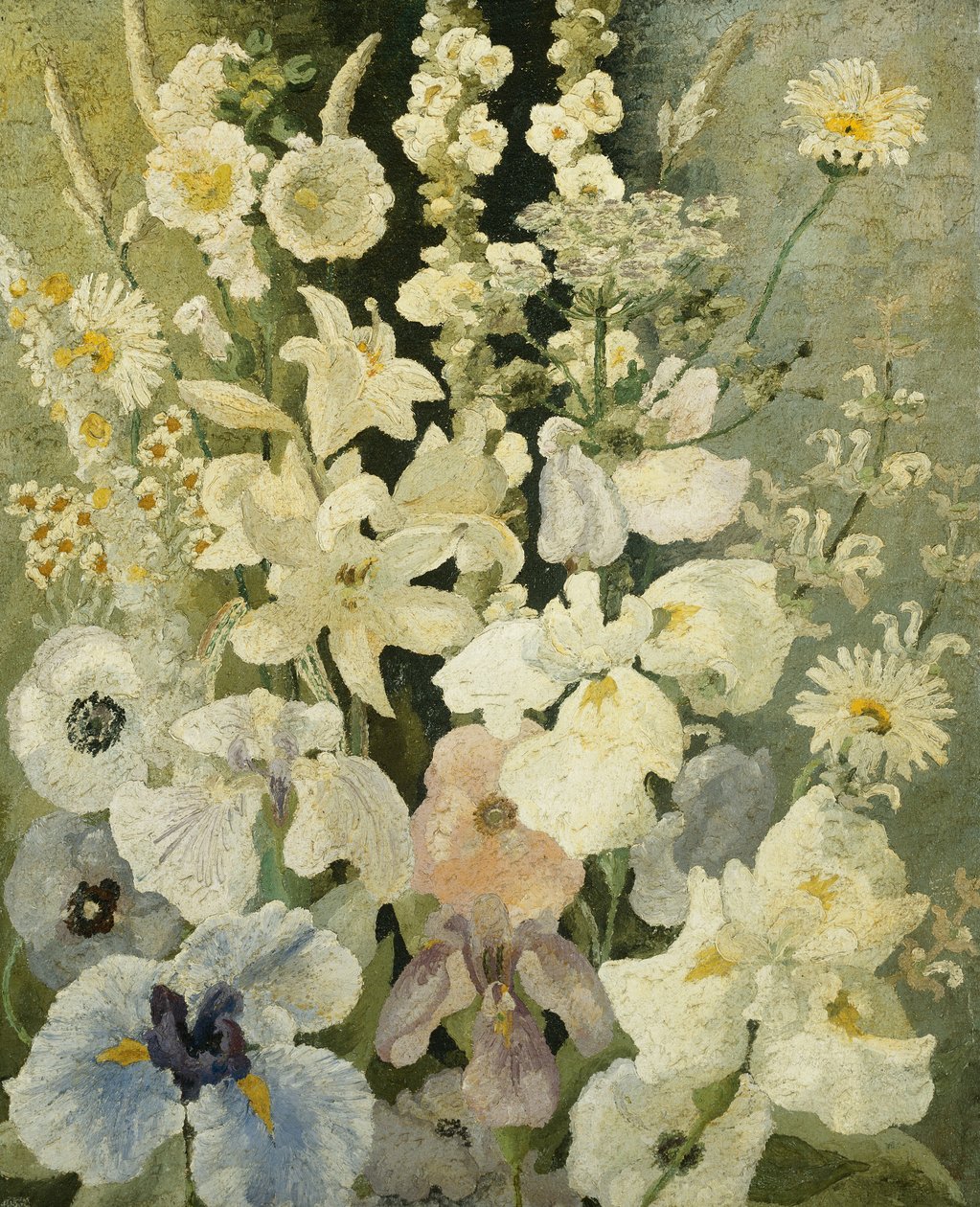Hvite blomster av Cedric Morris
