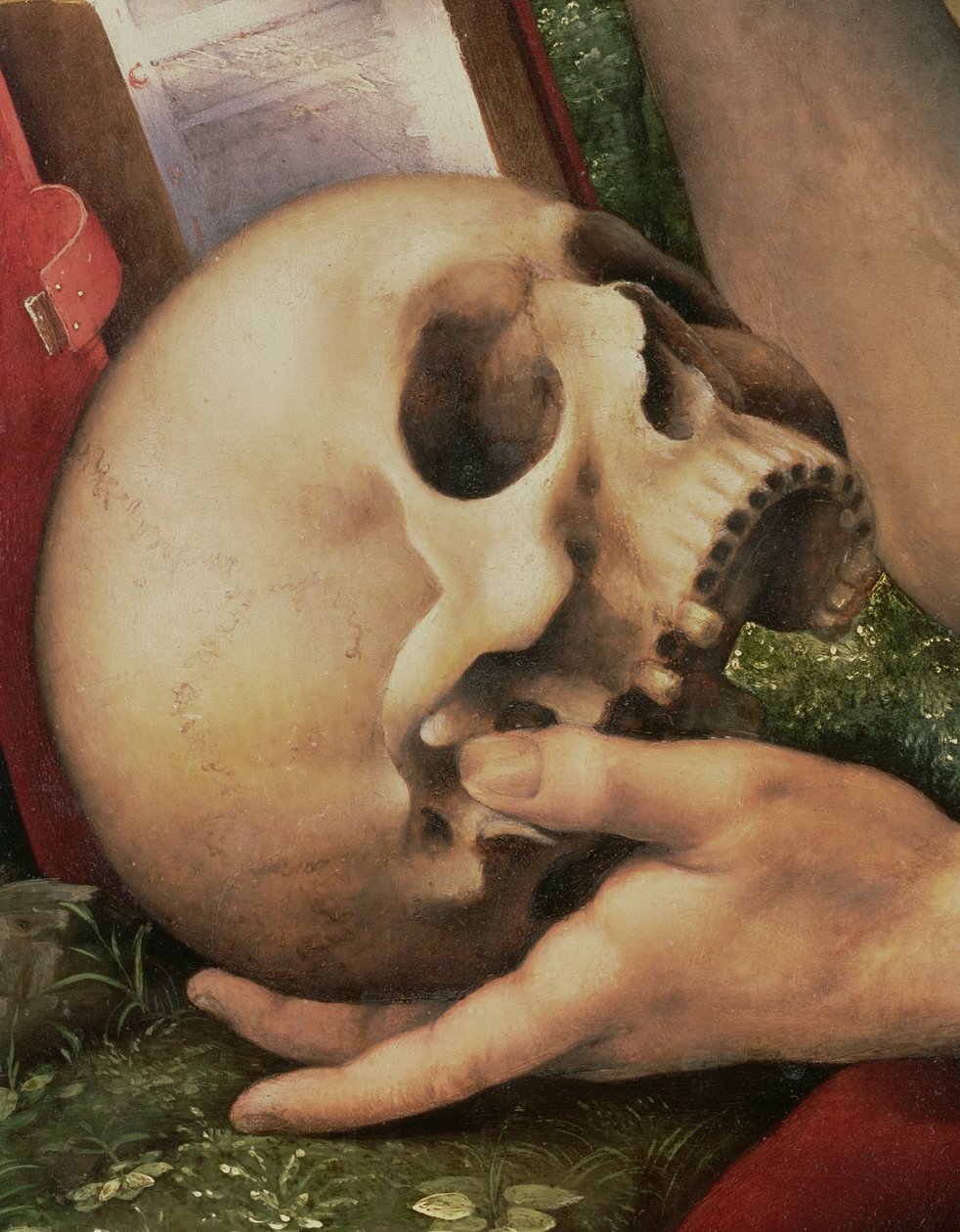 St. Jerome, detalj av hodeskallen (detalj av 112517) av Cesare da Sesto