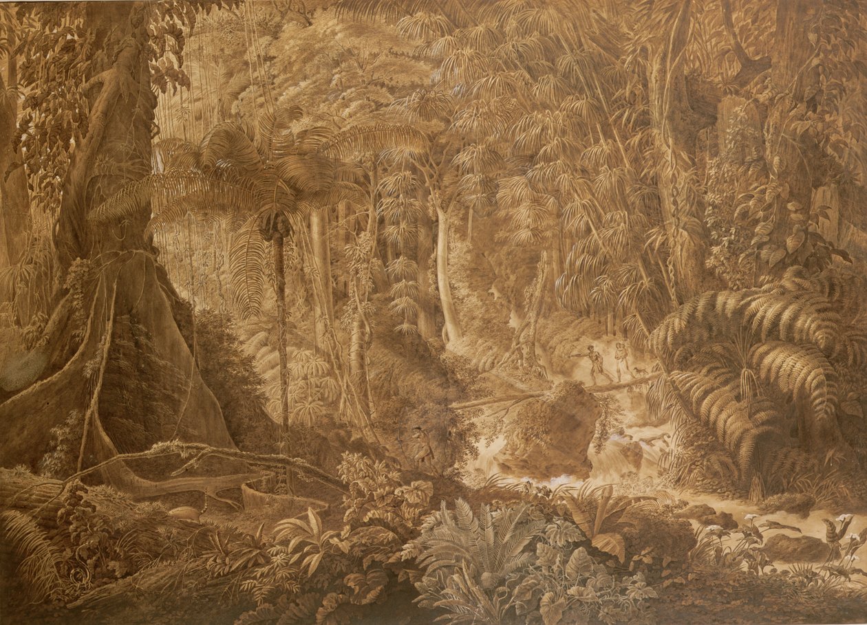 Brasiliansk regnskog, ca. 1819 av Charles Comte de Clarac