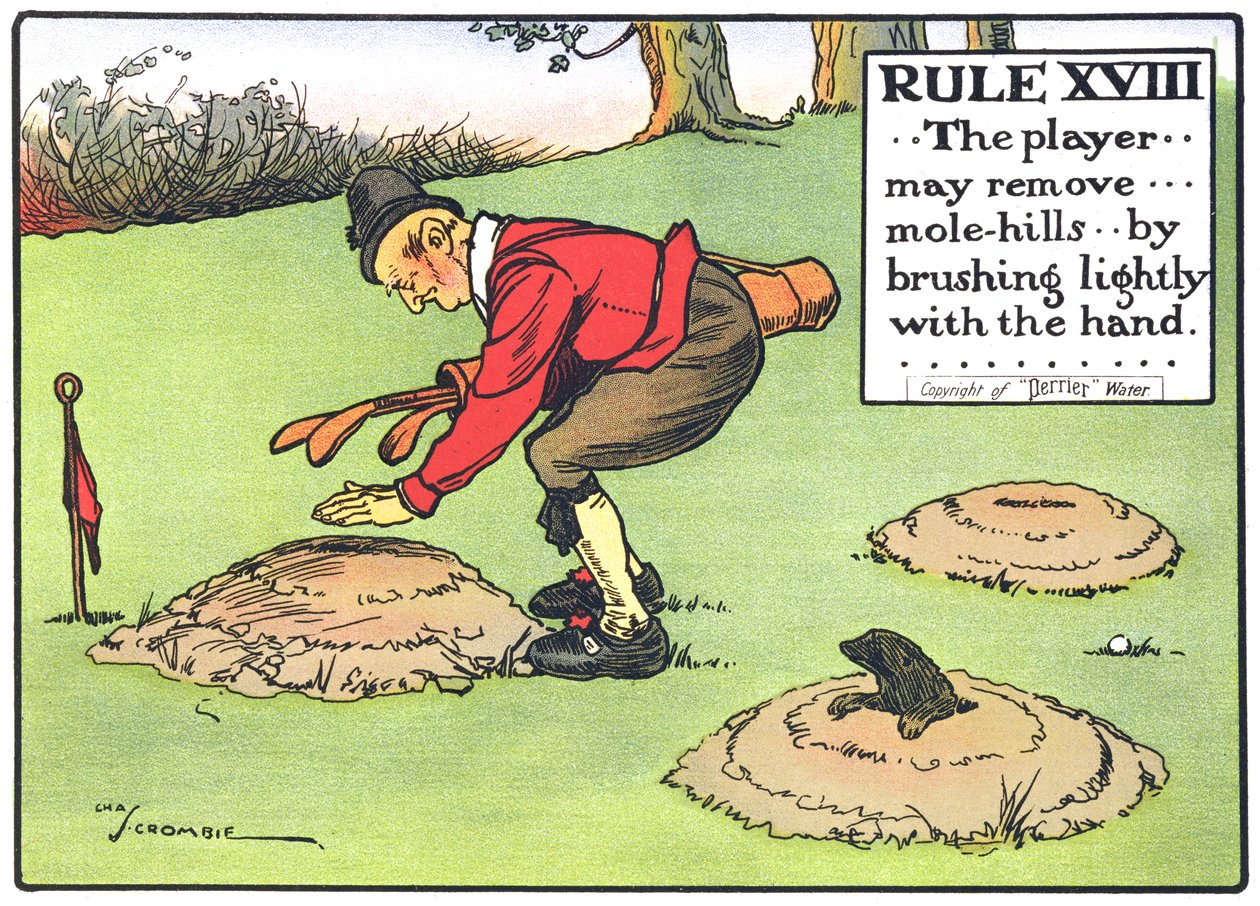 Regel XVIII: Spilleren ... kan fjerne ... føflekker ... ved å børste lett med hånden ..., fra 