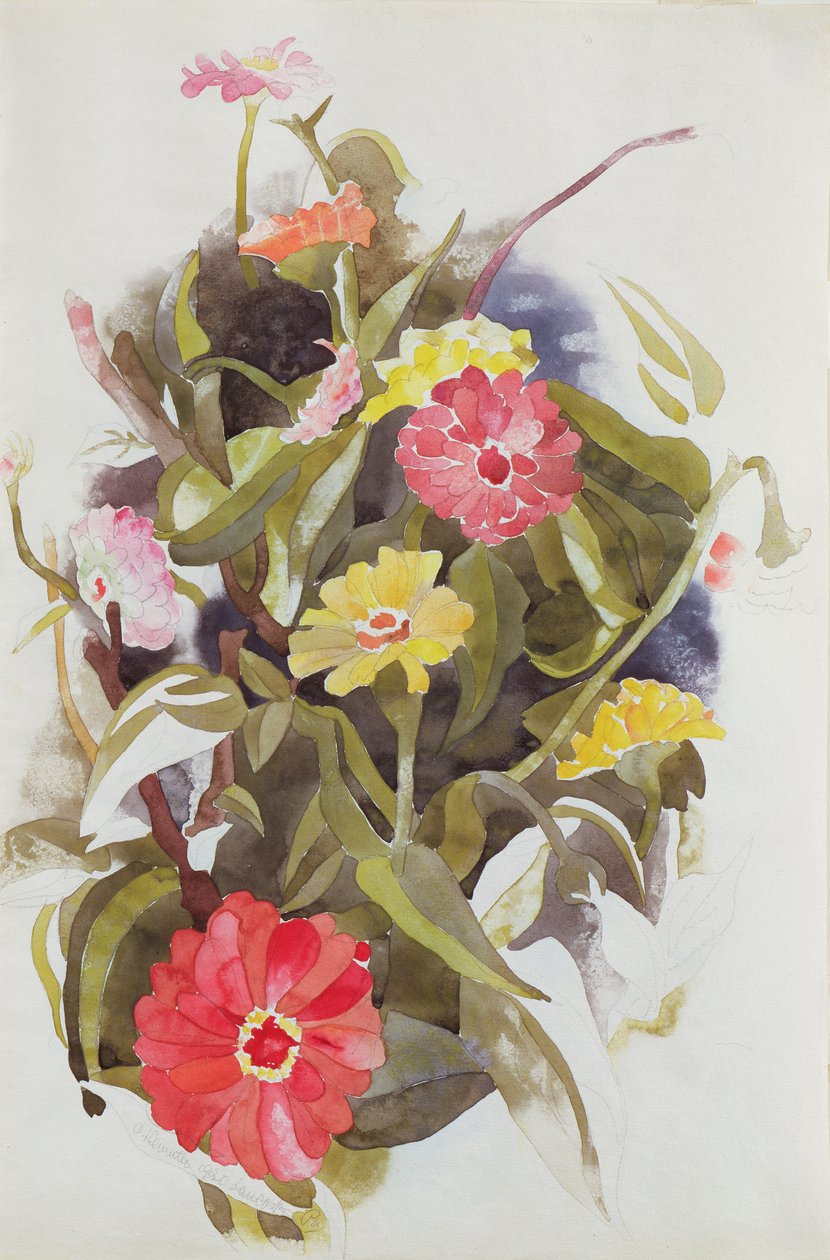 Zinnias, 1920 (wc på papir) av Charles Demuth