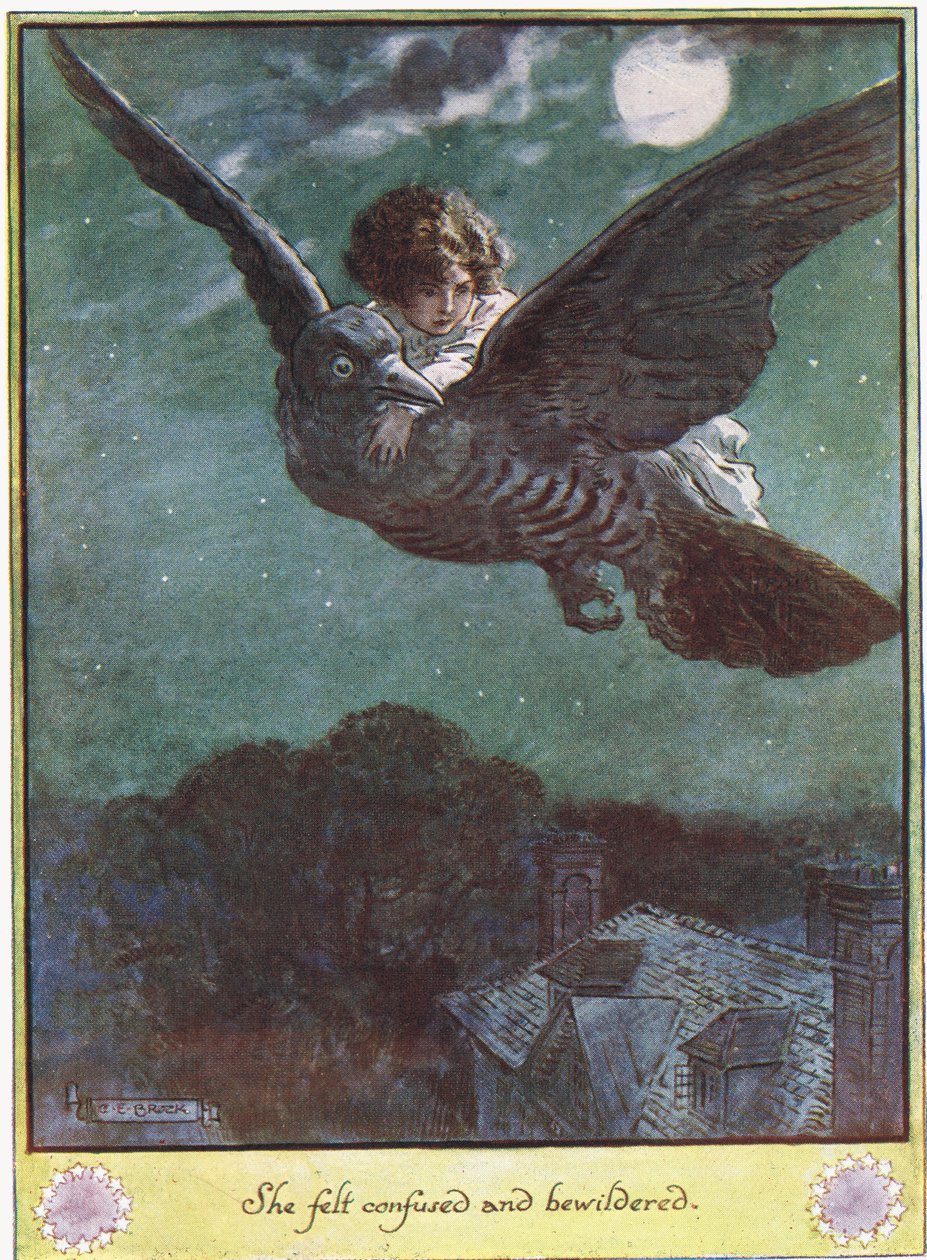 Flight on the Bird, illustrasjon fra 