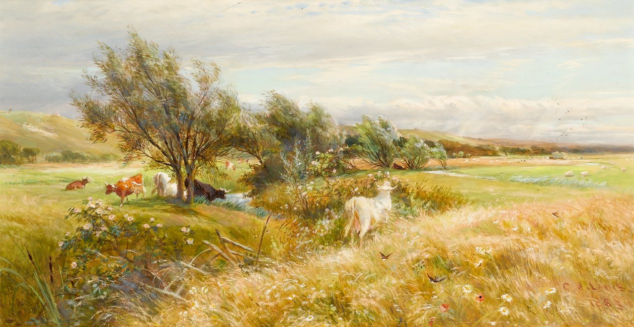 Storfe i en vanneng (olje på papir) av Charles James Lewis