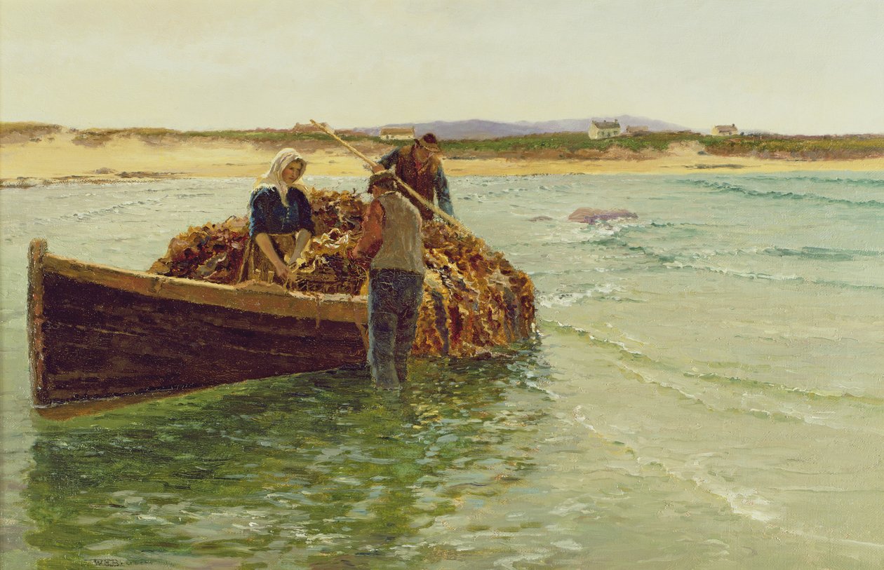 Lossing av Kelp Weed av Charles William Bartlett