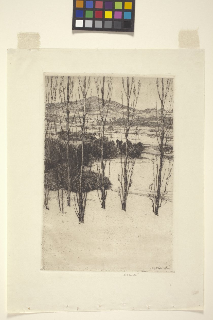 Fjellet (blekk) av Charles Adams Platt