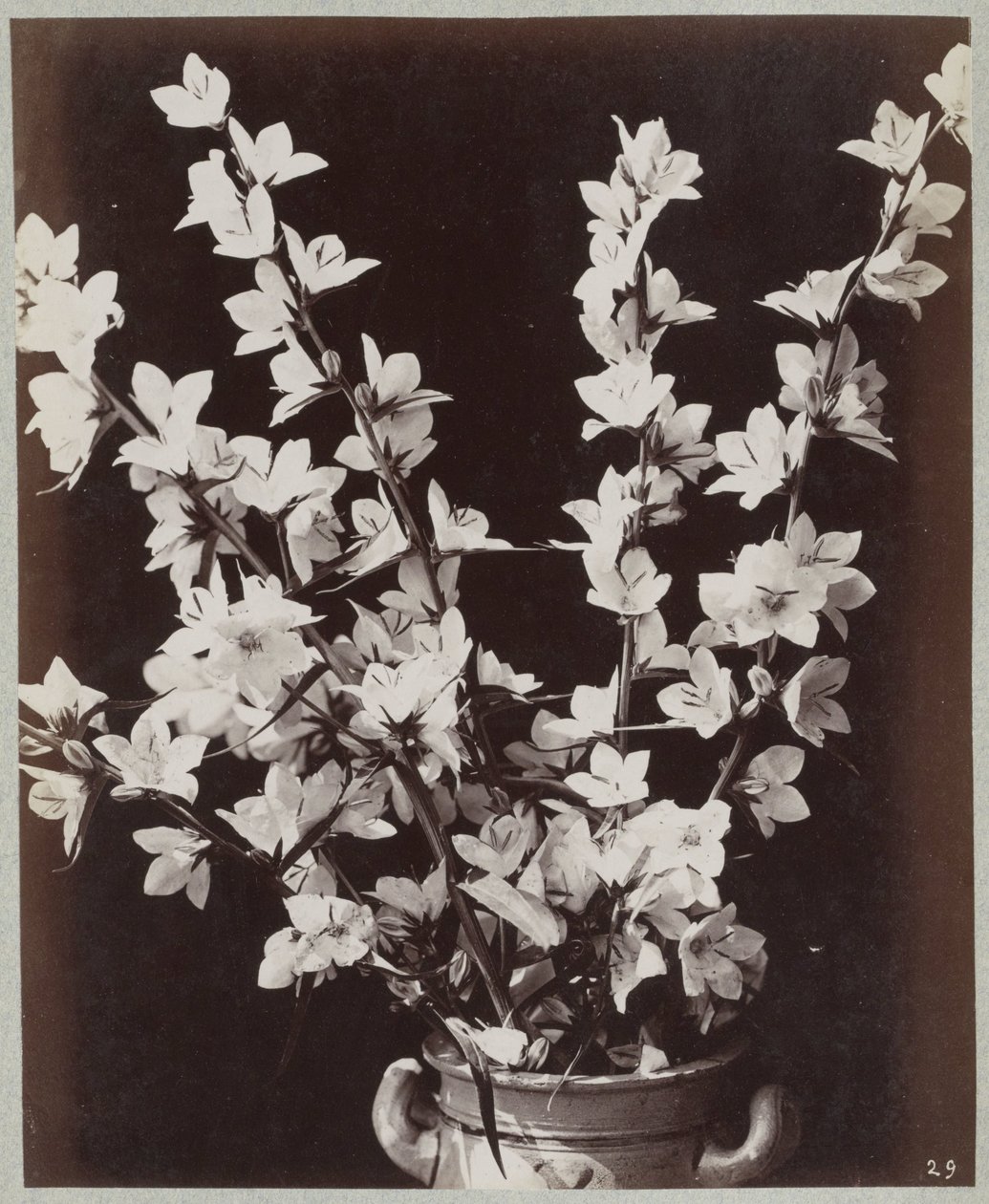 Blomsterstudie med Kölnerkrukke av Charles Aubry (manner of)