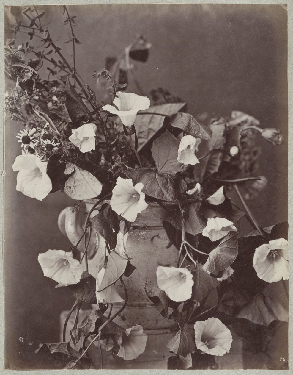 Blomsterstudie med Kölnerkrukke av Charles Aubry (manner of)