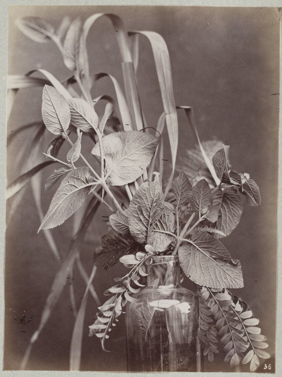 Blomsterstudie med glassflaske av Charles Aubry (manner of)