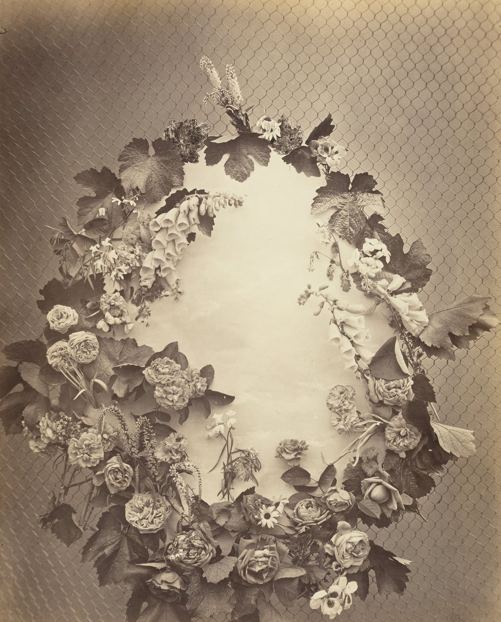 Uten tittel [krans], ca. 1864. av Charles Aubry