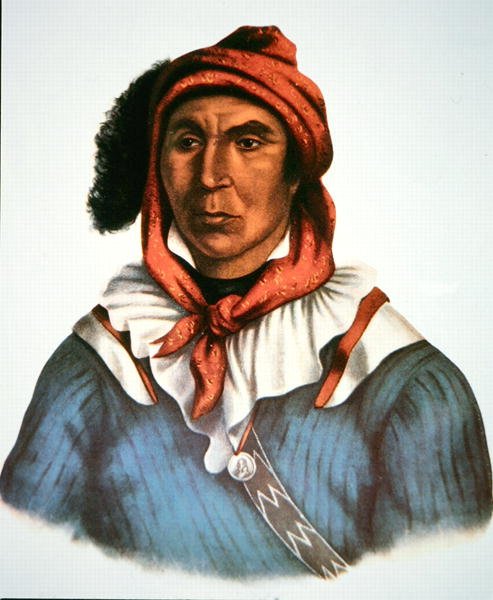 Julcee Mathla av Charles Bird King