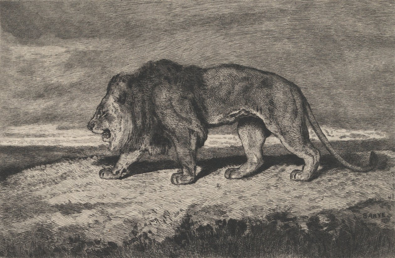 Løvevandring, 1866-1897. av Charles Courtry