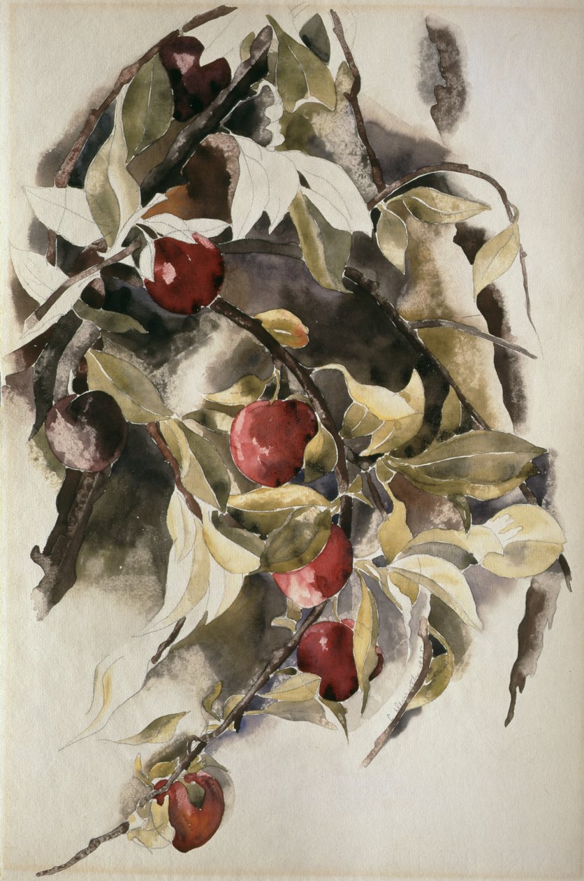 Plommer, 1925 av Charles Demuth