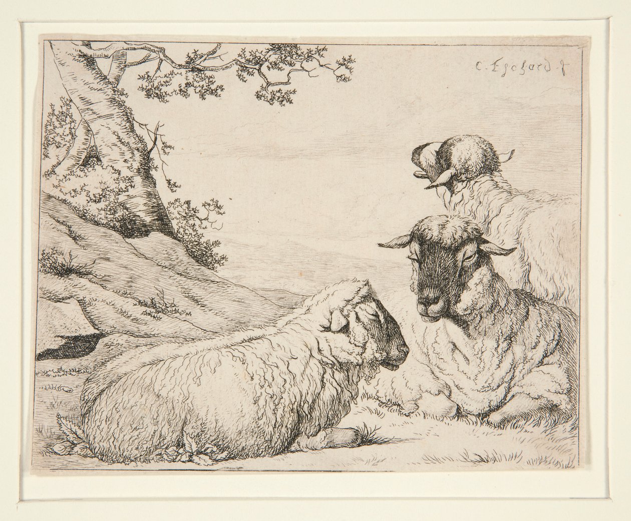 Tre sauer av Charles Echard