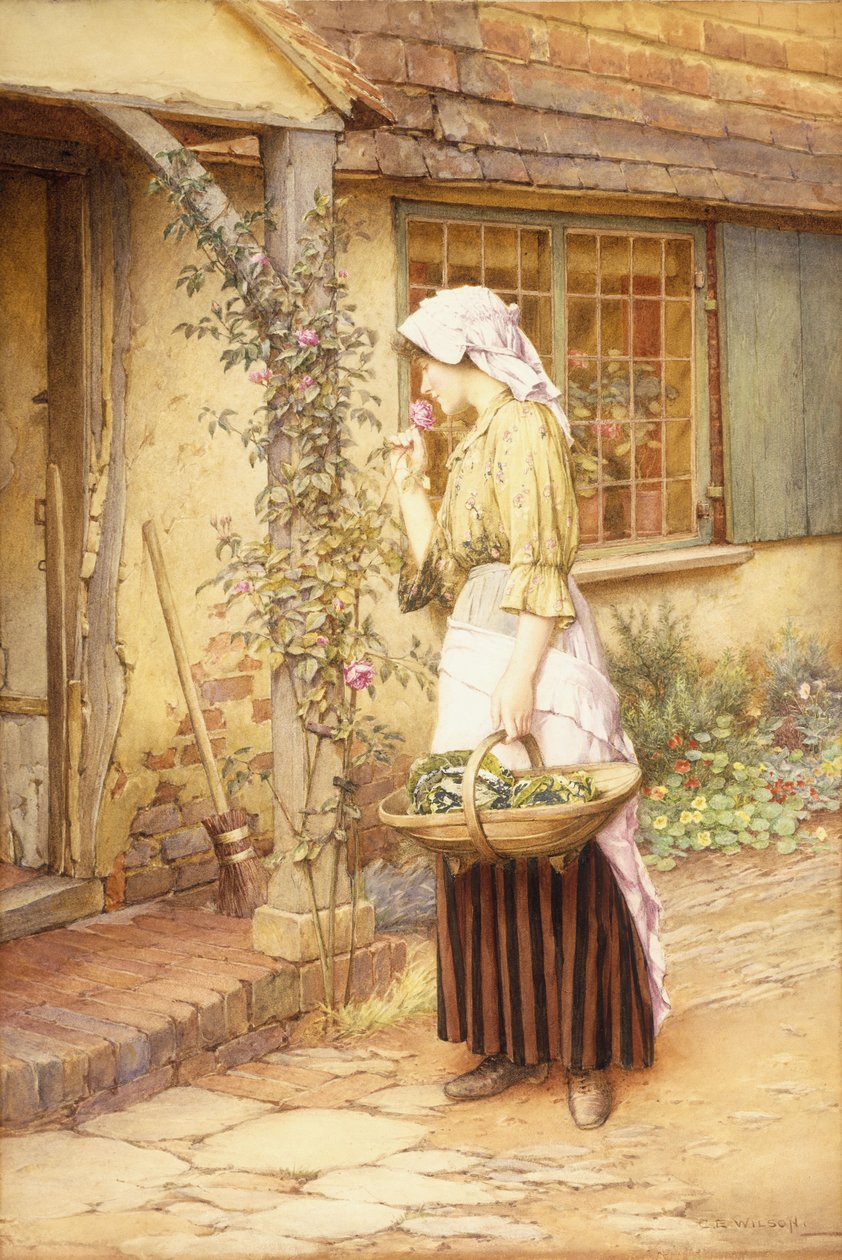 The Sweetest Rose (w/c på papir) av Charles Edward Wilson