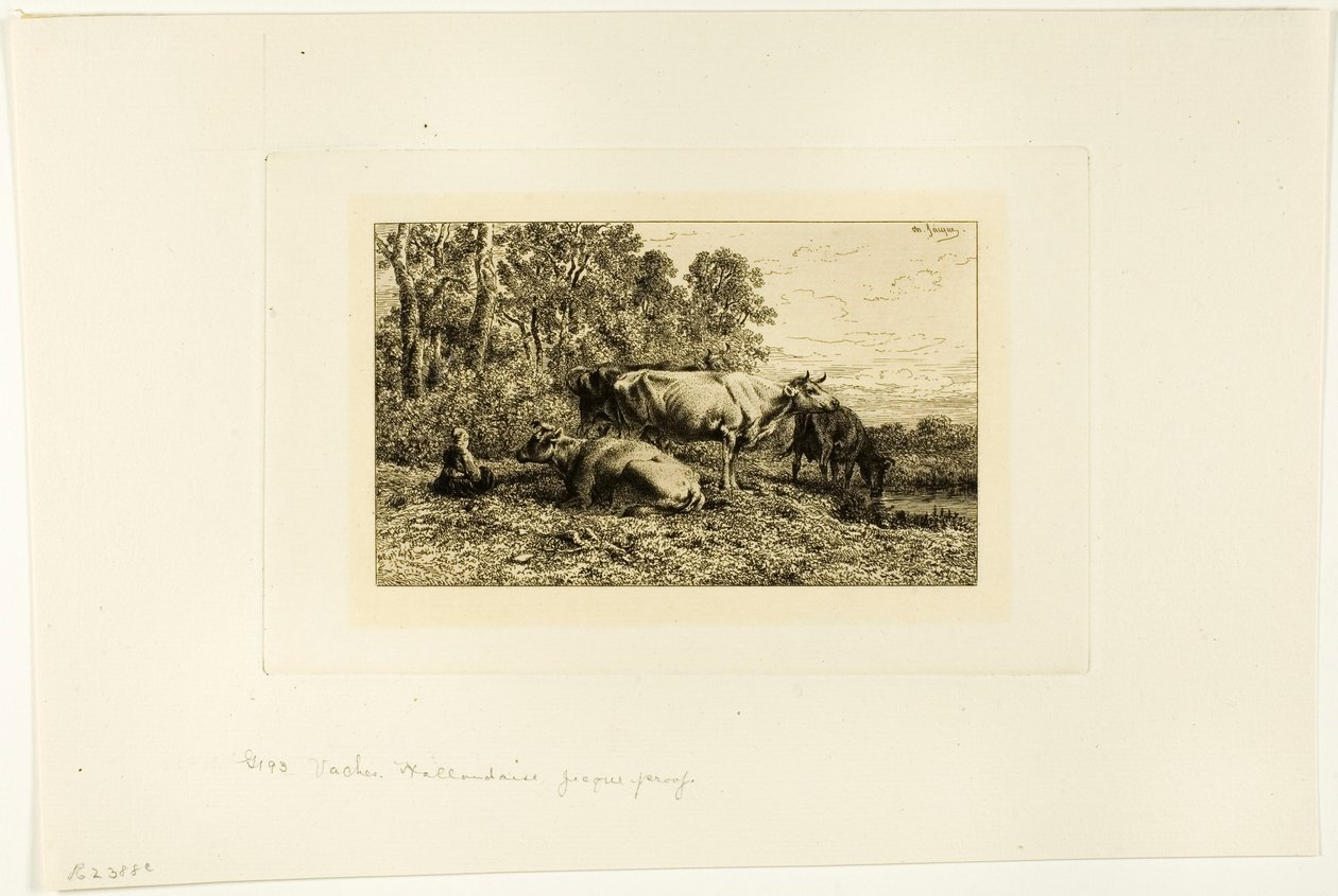 nederlandske kyr av Charles Emile Jacque