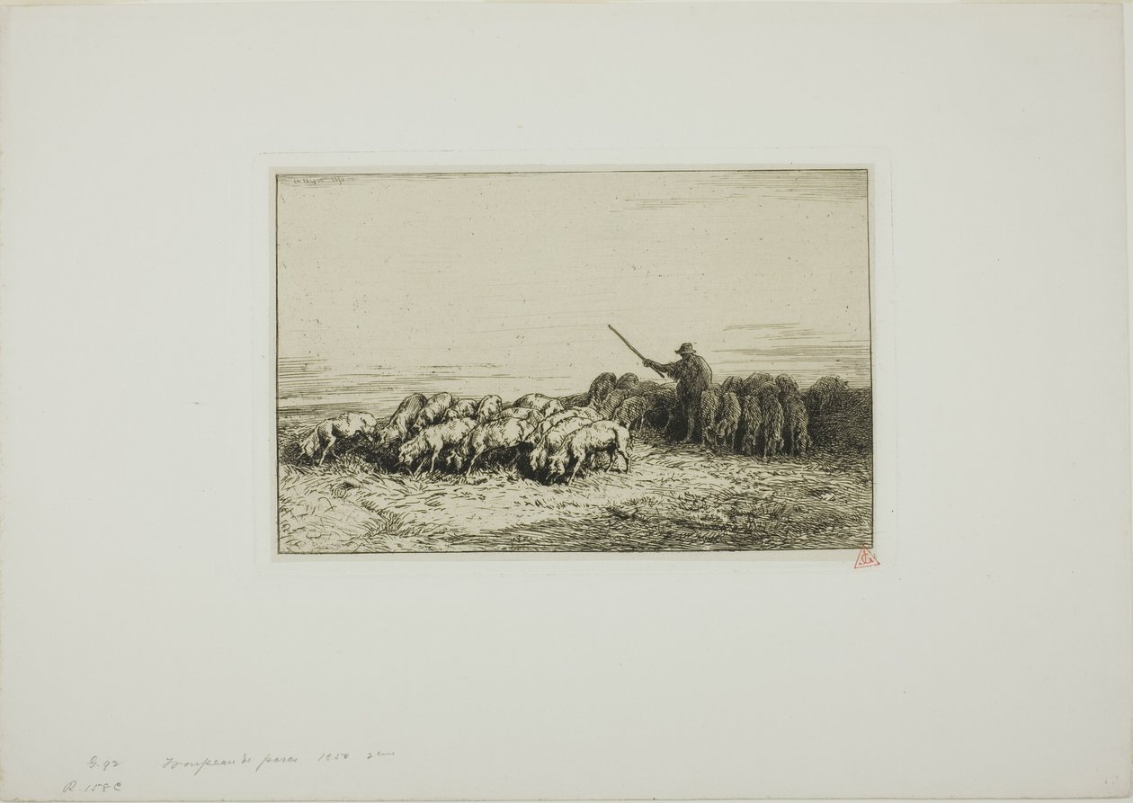 Griseflokk av Charles Emile Jacque