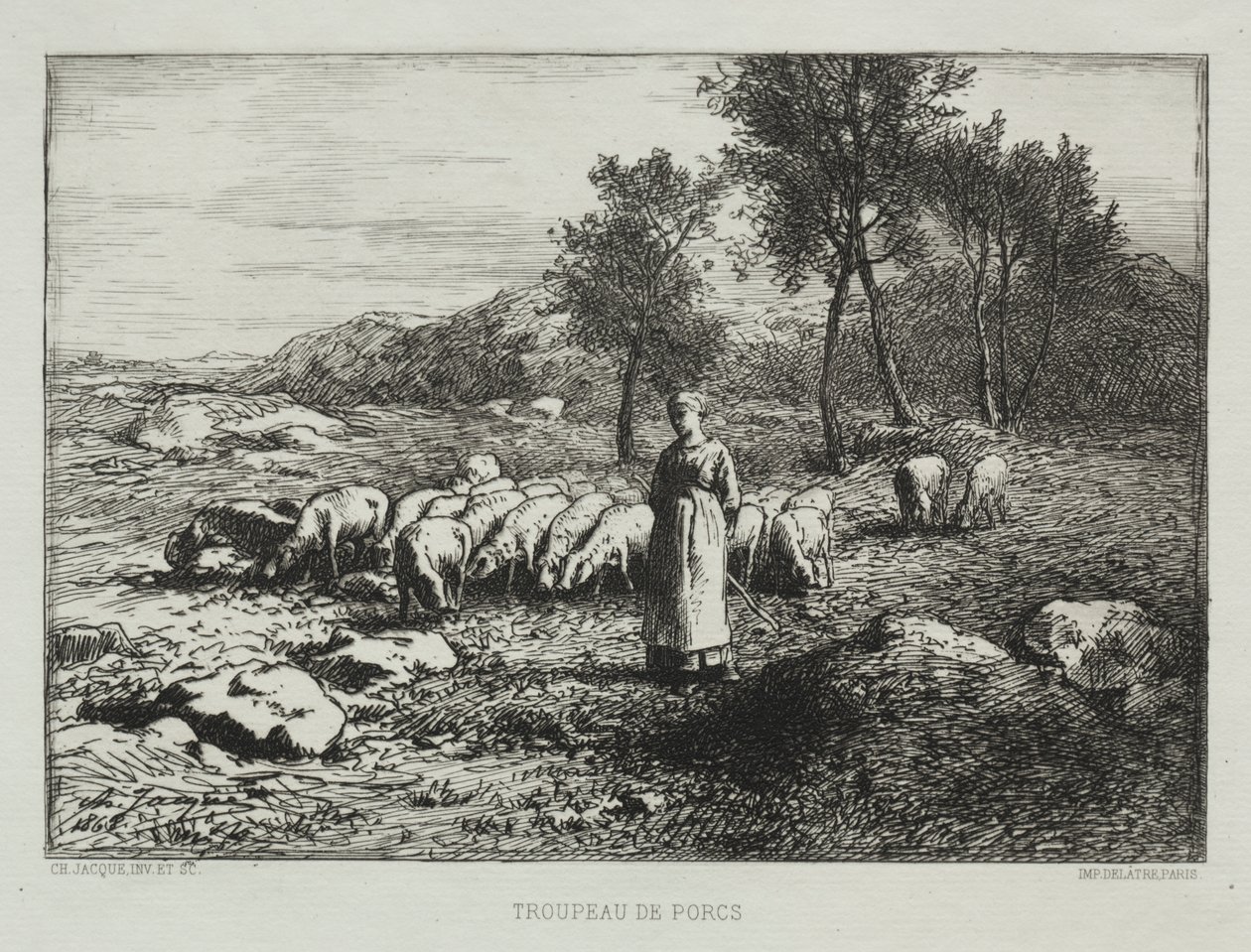 Svineflokk av Charles Emile Jacque