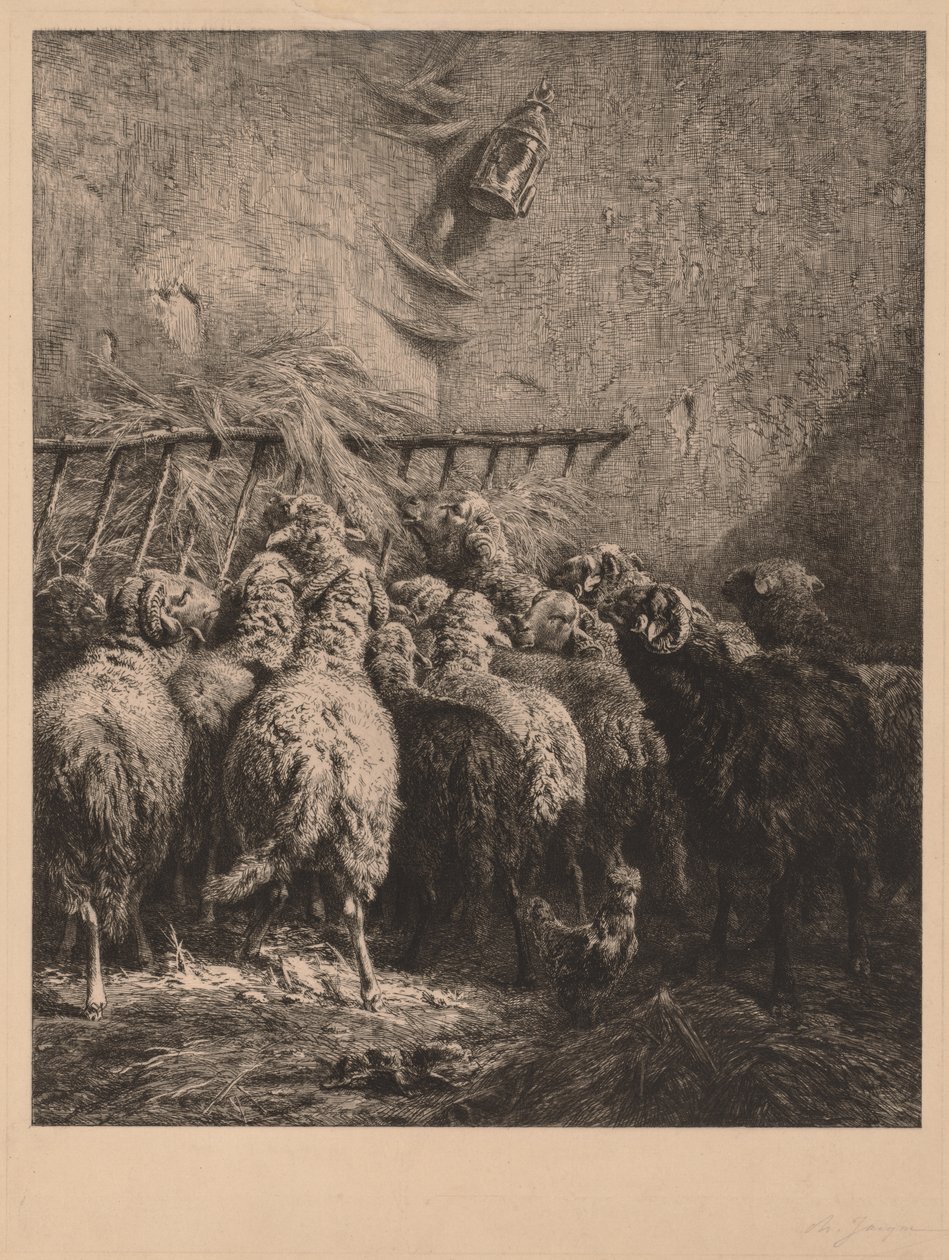 Saueinnhegning i Béarn av Charles Emile Jacque