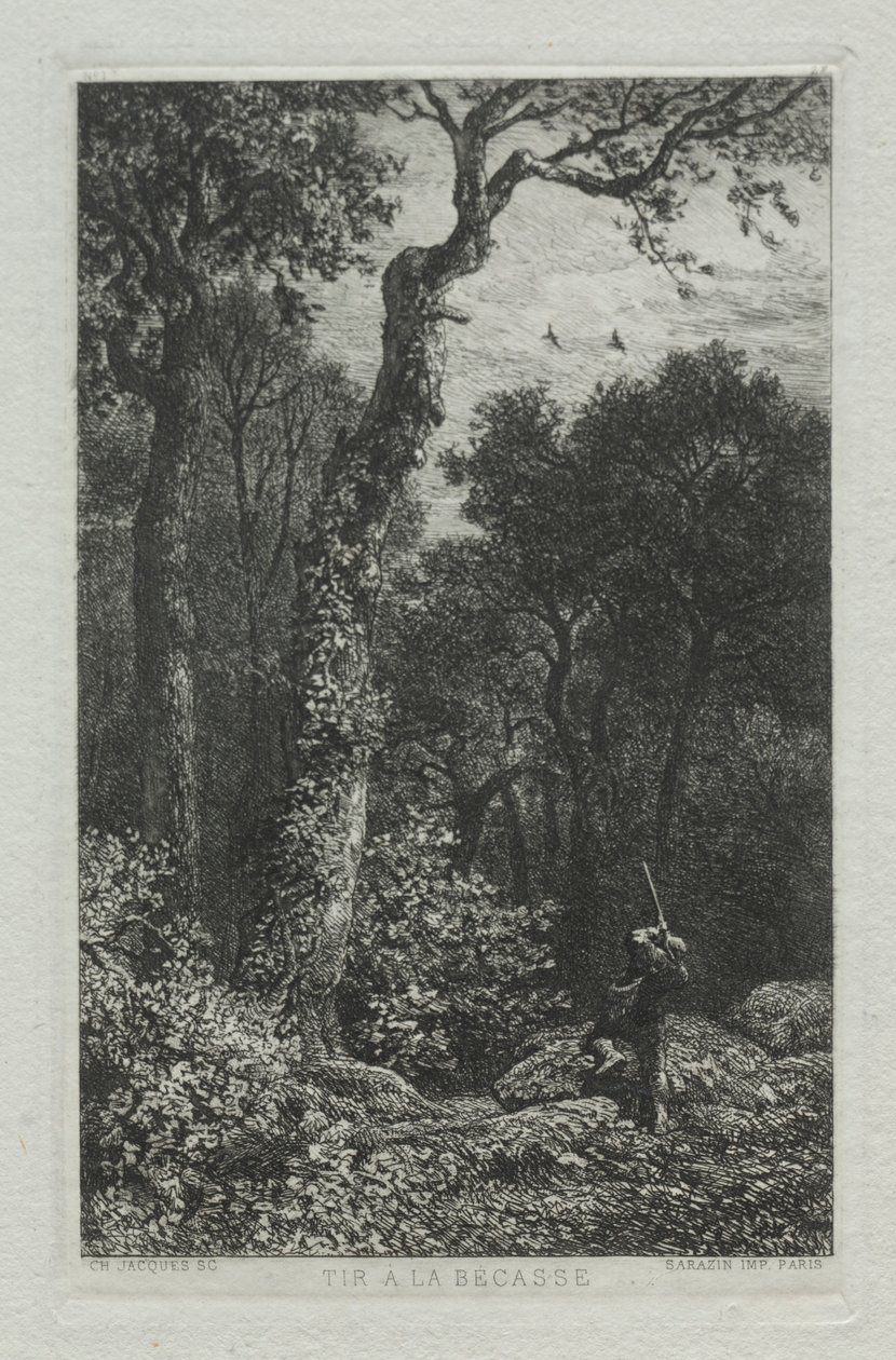 Skyter Woodcock. av Charles Emile Jacque