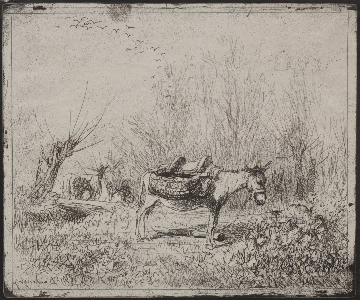Et esel i marken av Charles Francois Daubigny