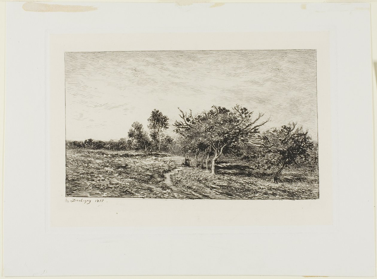 Epletrær i Auvers av Charles Francois Daubigny