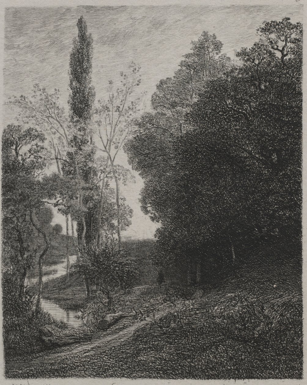 Banks of the River Cousin, 1850. av Charles Francois Daubigny
