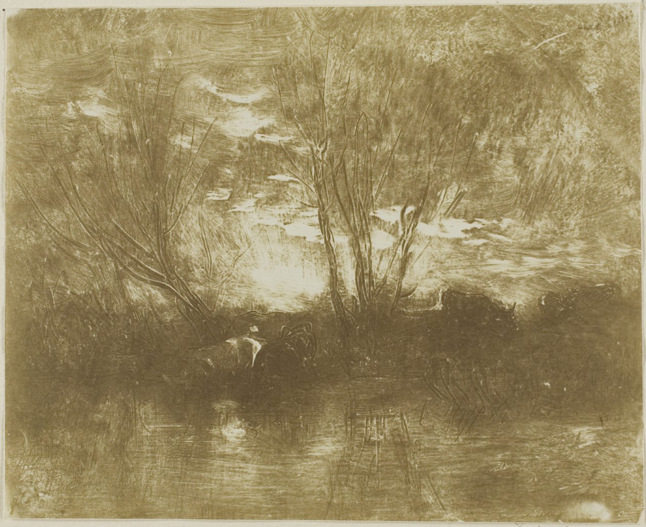 Kyr på vanningsplassen av Charles Francois Daubigny