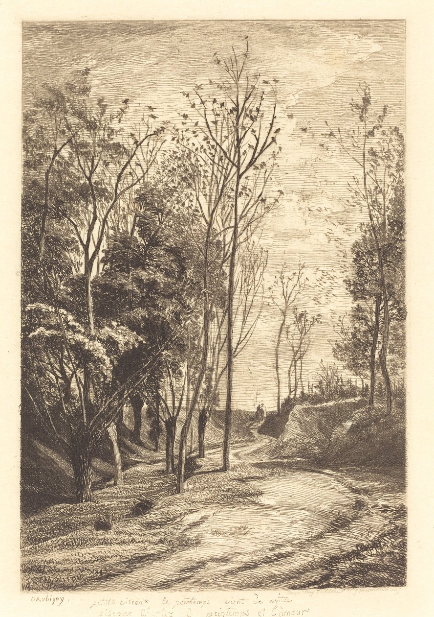 Små fugler av Charles Francois Daubigny