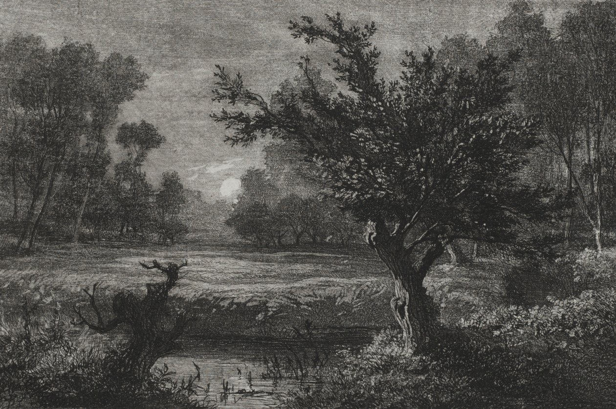 Måneoppgang i Andilly Valley, 1845. av Charles Francois Daubigny