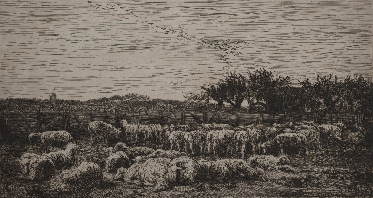 Den store sauefolden av Charles Francois Daubigny
