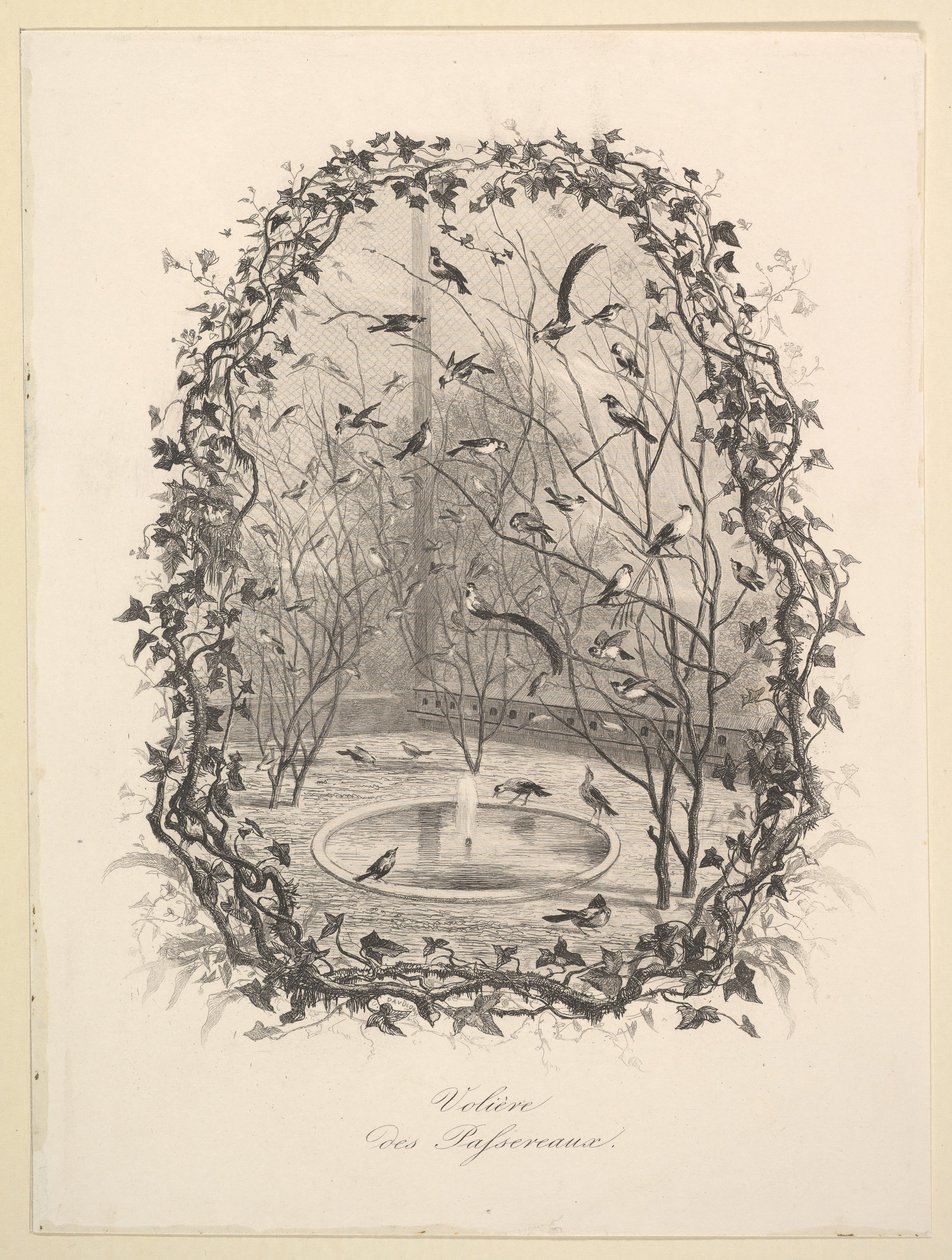 Sparrow Aviary, 1843. av Charles Francois Daubigny