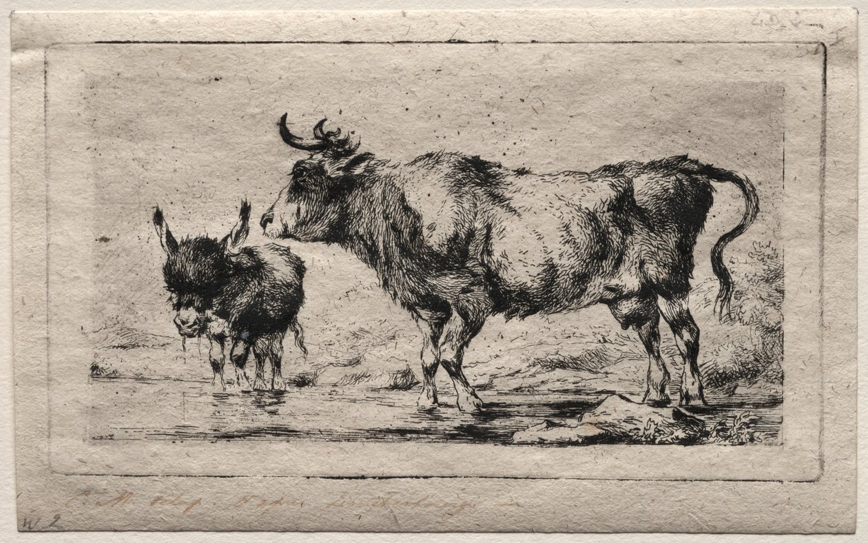 Ku og esel, 1849. av Charles Meryon