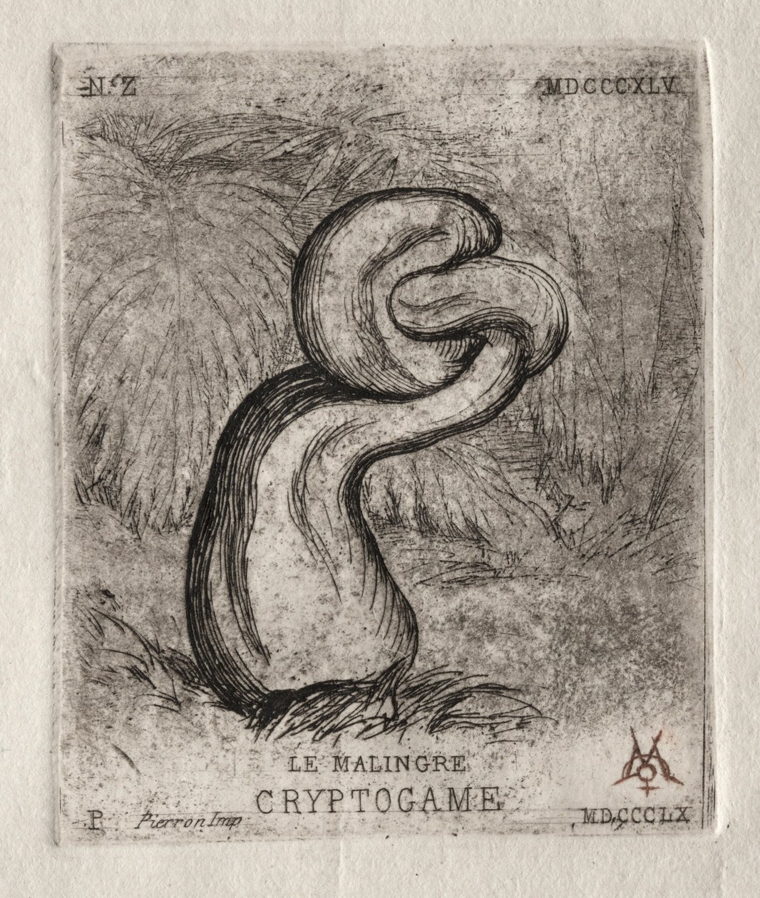 The Sickly Cryptogam, 1860. av Charles Meryon
