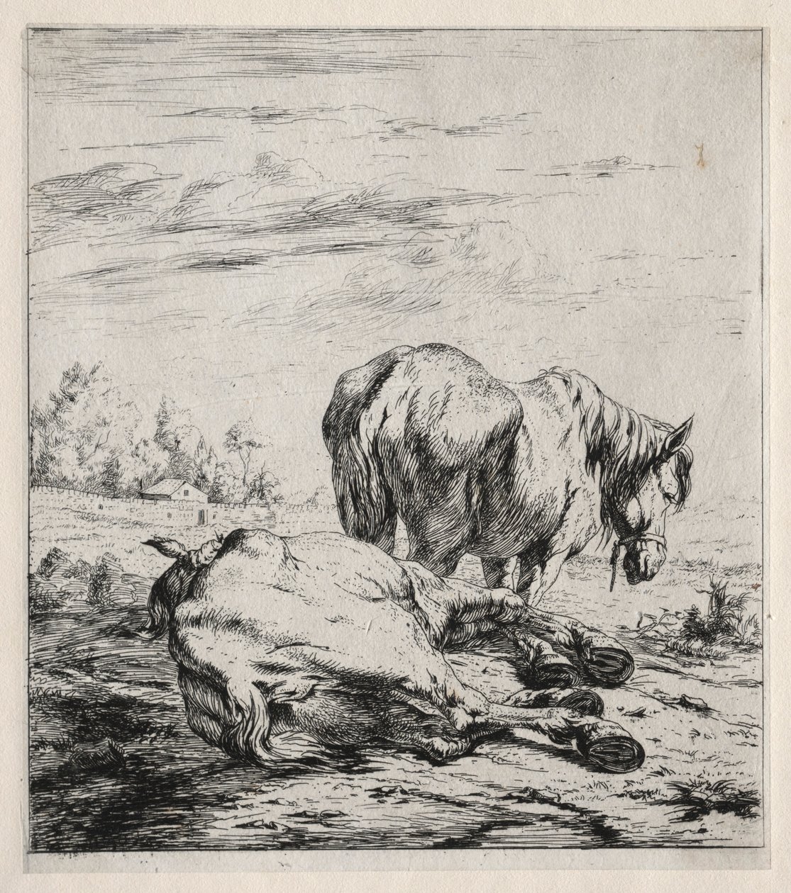 De to hestene, 1850. av Charles Meryon