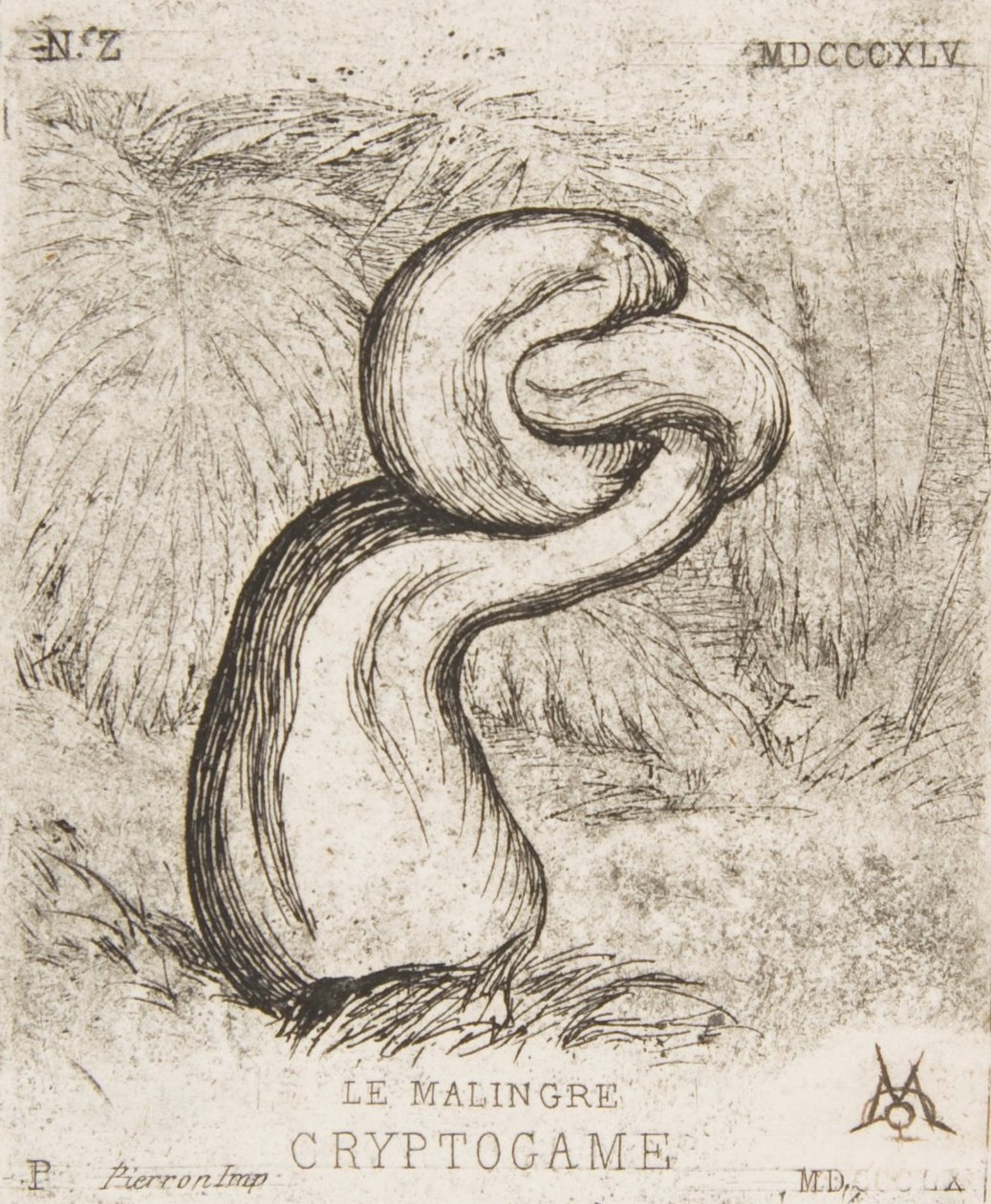 Den ynkelige Cryptogamia, 1860. av Charles Meryon