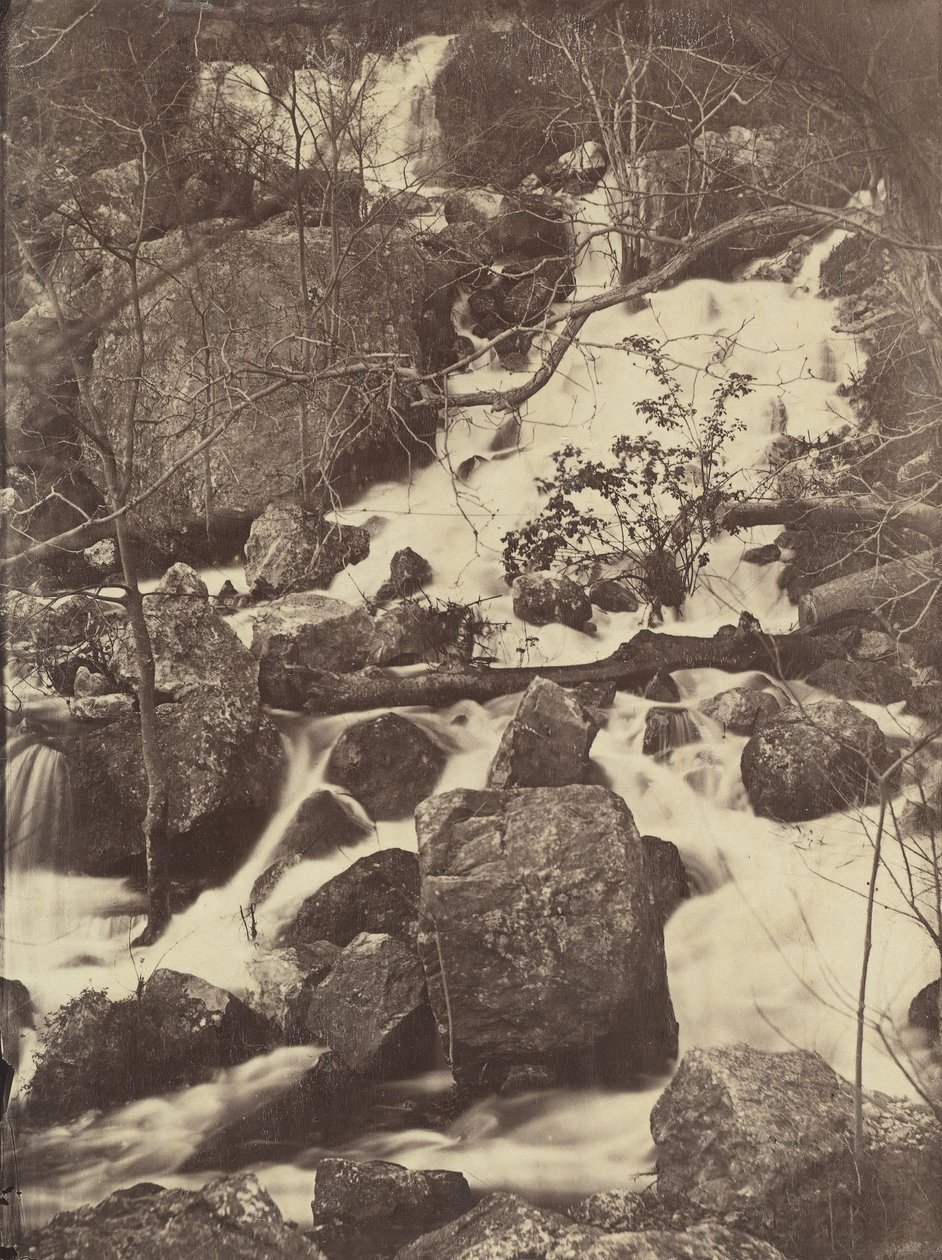[Trær og fosser], 1860-65. av Charles Nègre