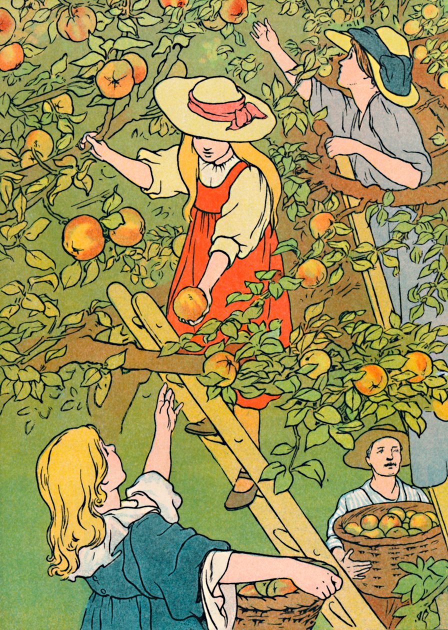 Plukke frukten, 1912 av Charles Robinson