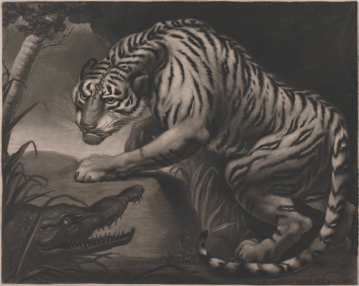 Tiger og krokodille av Charles Turner