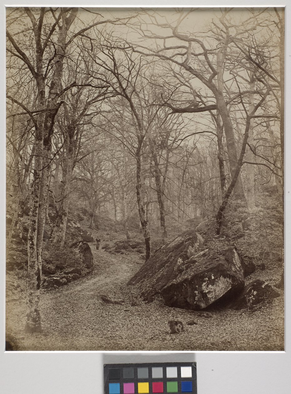 Fontainebleau, ca. 1870 (albumtrykk) av Charles Victor Famin