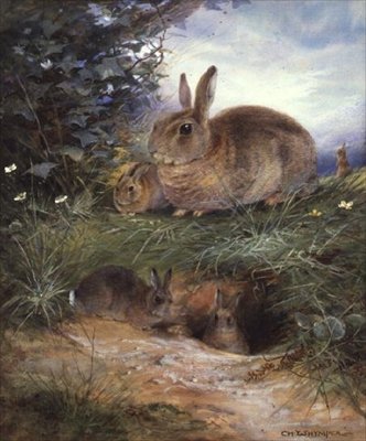 Kaniner ved en hule av Charles Whymper