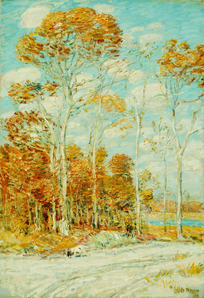 Hawk's Nest av Childe Frederick Hassam