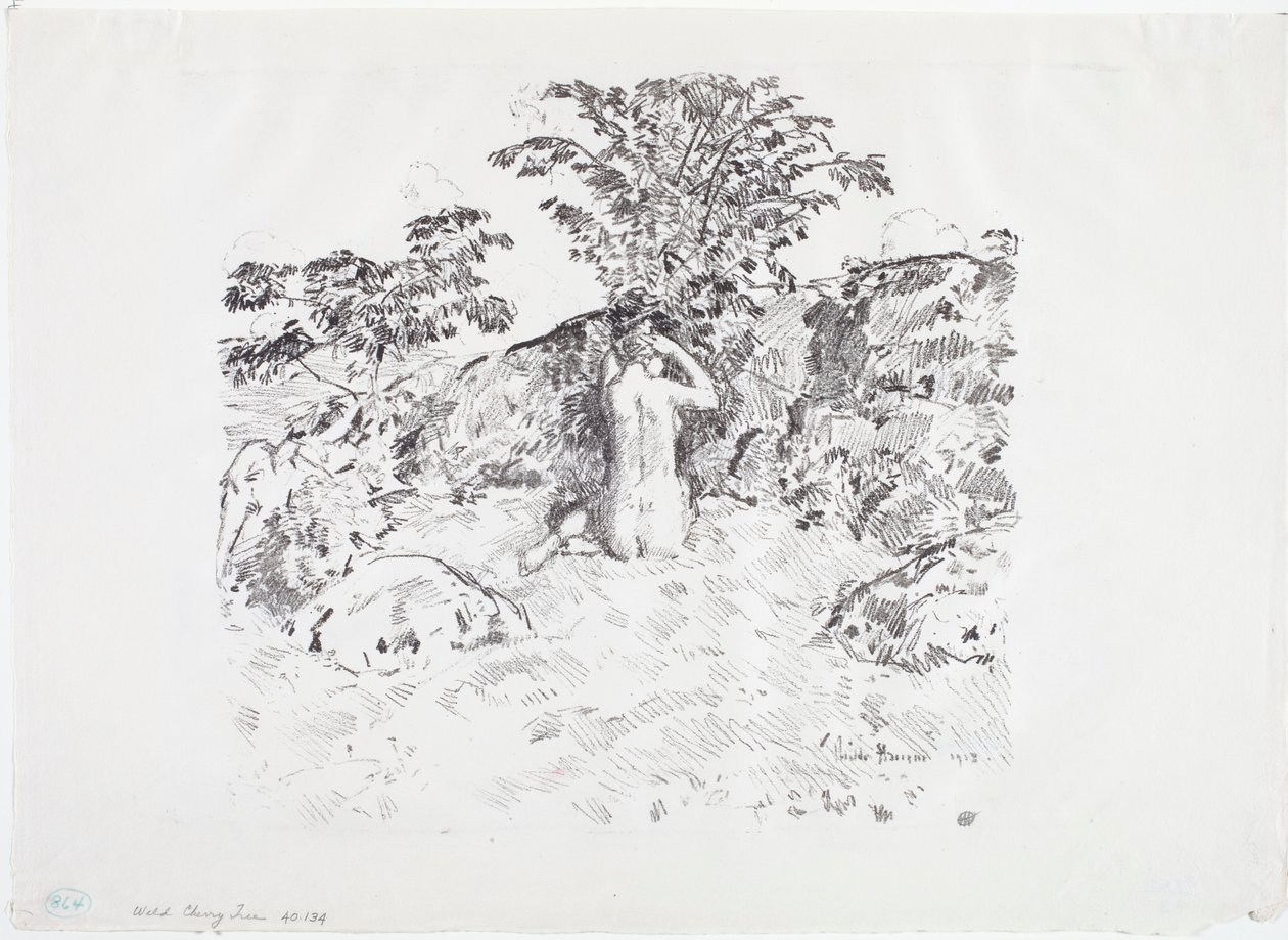 Villkirsebærtre av Childe Frederick Hassam