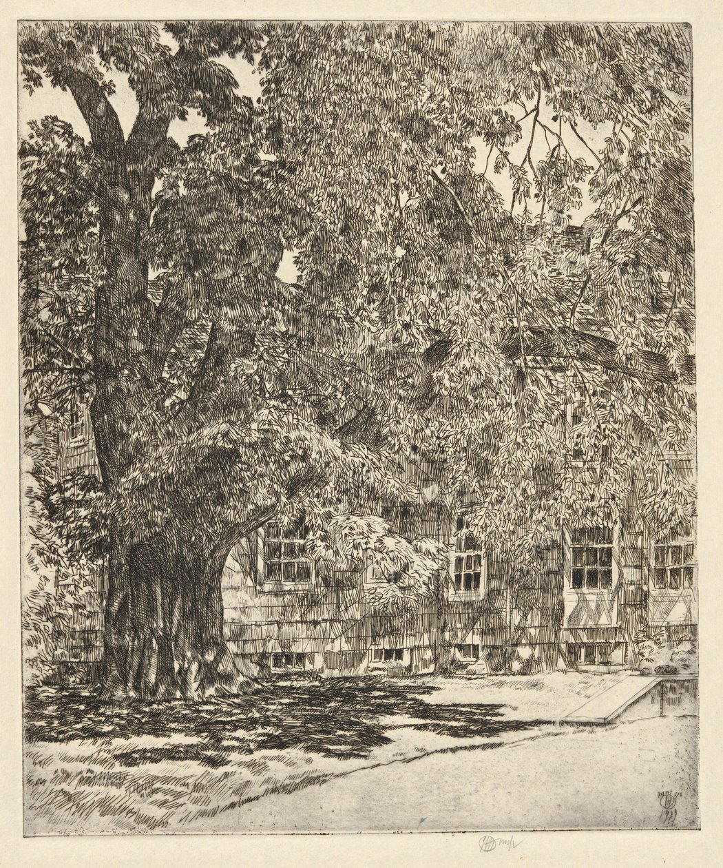 Kjempealm, 1929 av Childe Hassam