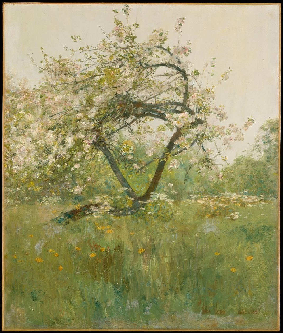 Ferskenblomster — Villiers-le-Bel av Childe Hassam