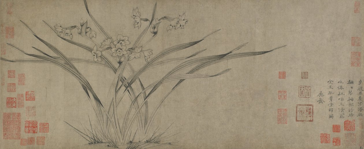 Narcissus, Song-dynastiet (blekk på papir) av Chinese School
