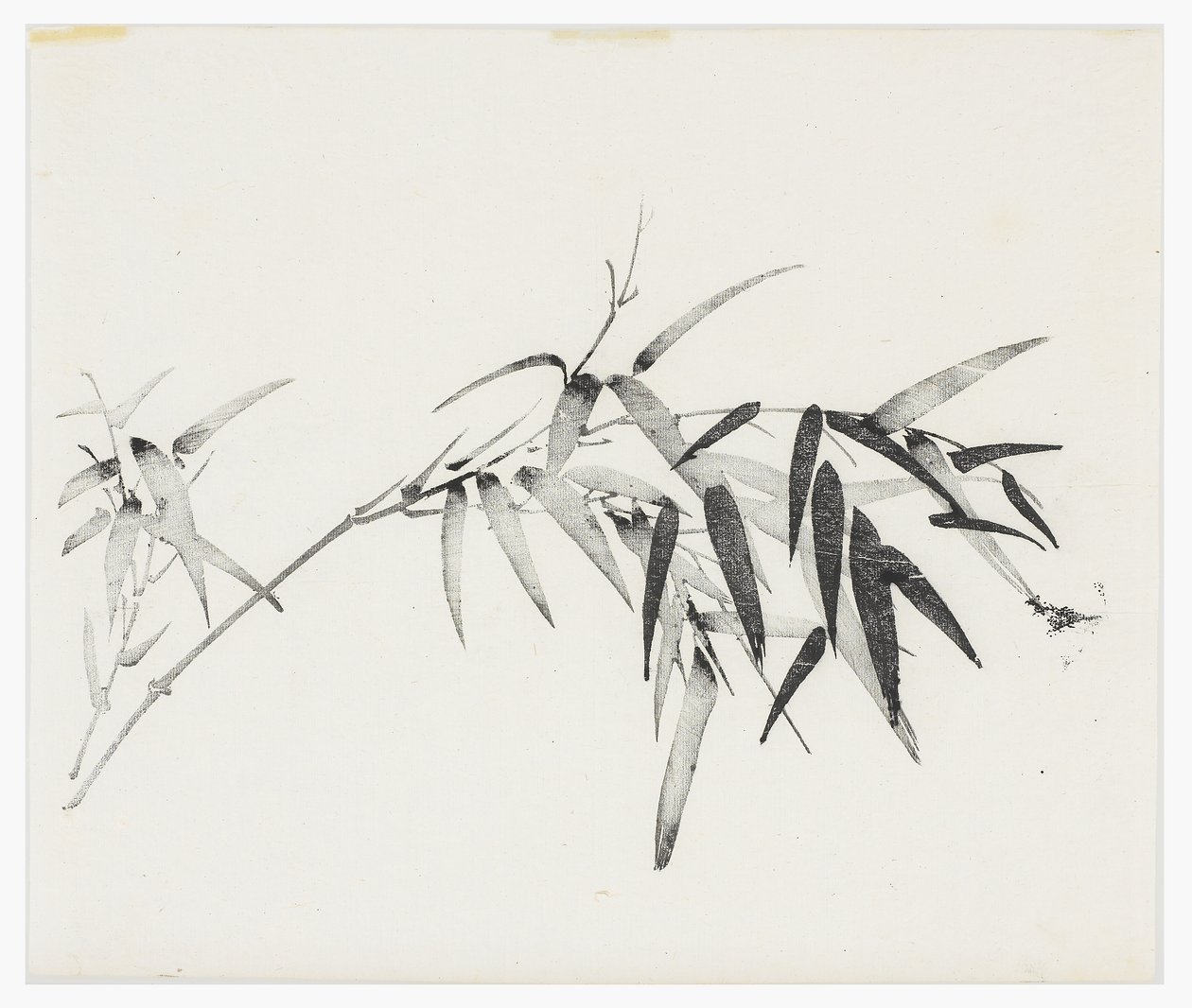 Ten Bamboo Series, 1700-tallet av Chinese School